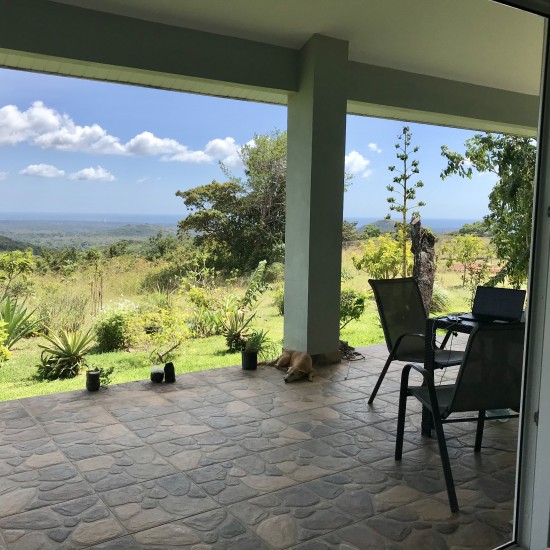 A view from living room